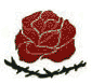 آرم حزب توده.PNG