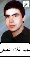 پرونده:6408876.jpg