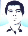 6616992.jpg