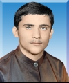 133.jpg
