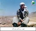 مالک.jpg
