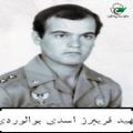 فریبرز اسدی بوالوردی۵.jpg