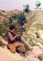 شهید حسین جعفر نیا.jpg