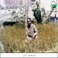 محمدمهدی اشراقی.jpg