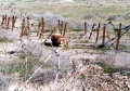 فکه 13.jpg