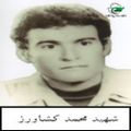 محمد کشاورز۲.jpg