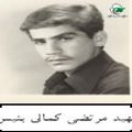 مرتضی کمالی بنیس.jpg