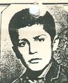 6531985.jpg