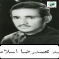 محمدرضا اسلامی.jpg