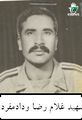 مفرد.jpg