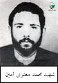 امین.jpg