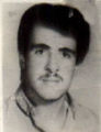 6717992.jpg
