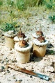 فکه 10.jpg