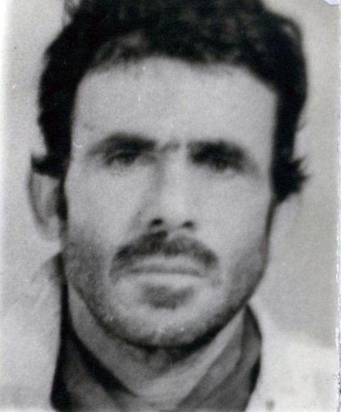 پرونده:3043.jpg
