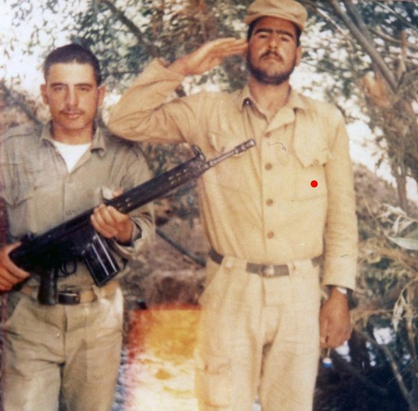 پرونده:2401.jpg