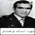 اسداله فرهمندفر3.jpg