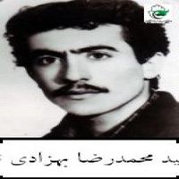 محمد رضا بهزادی نیا۱.jpg