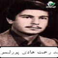 رحمت هادی پورلیمویی۱.jpg